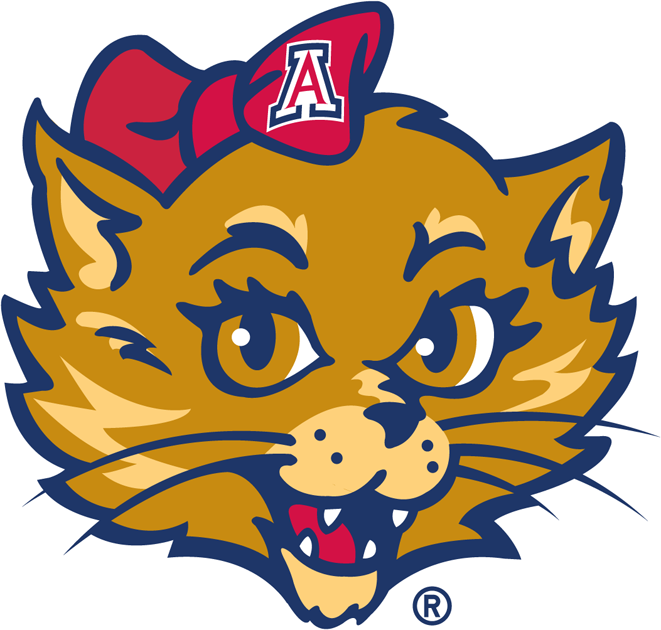 Arizona Wildcats 2003-Pres Mascot Logo v3 iron on transfers for T-shirts
